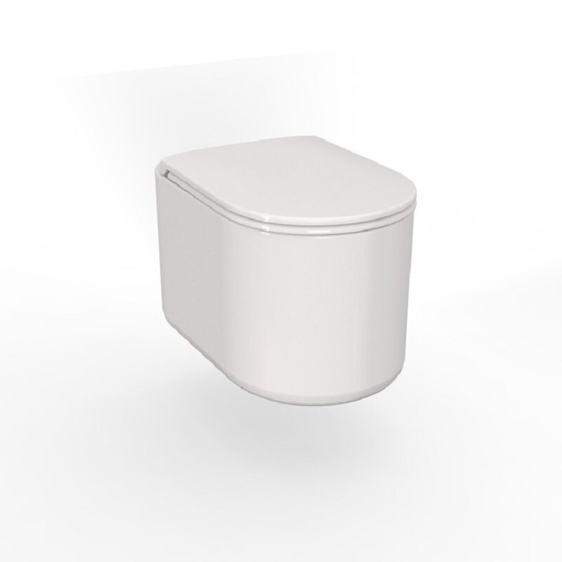 Изображение товара Подвесной унитаз Axa Delano WCWH9001001 безободковый с микролифтом