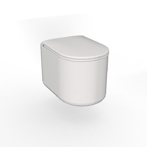 Изображение товара Подвесной унитаз Axa Delano WCWH9001012, безободковый, крышка-сиденье с микролифтом, белый матовый