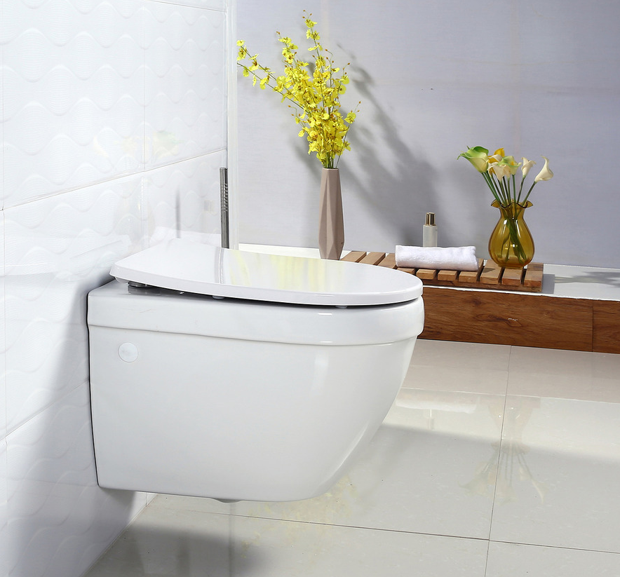 Изображение товара Подвесной унитаз BelBagno Cento-R BB509CH, безободковый