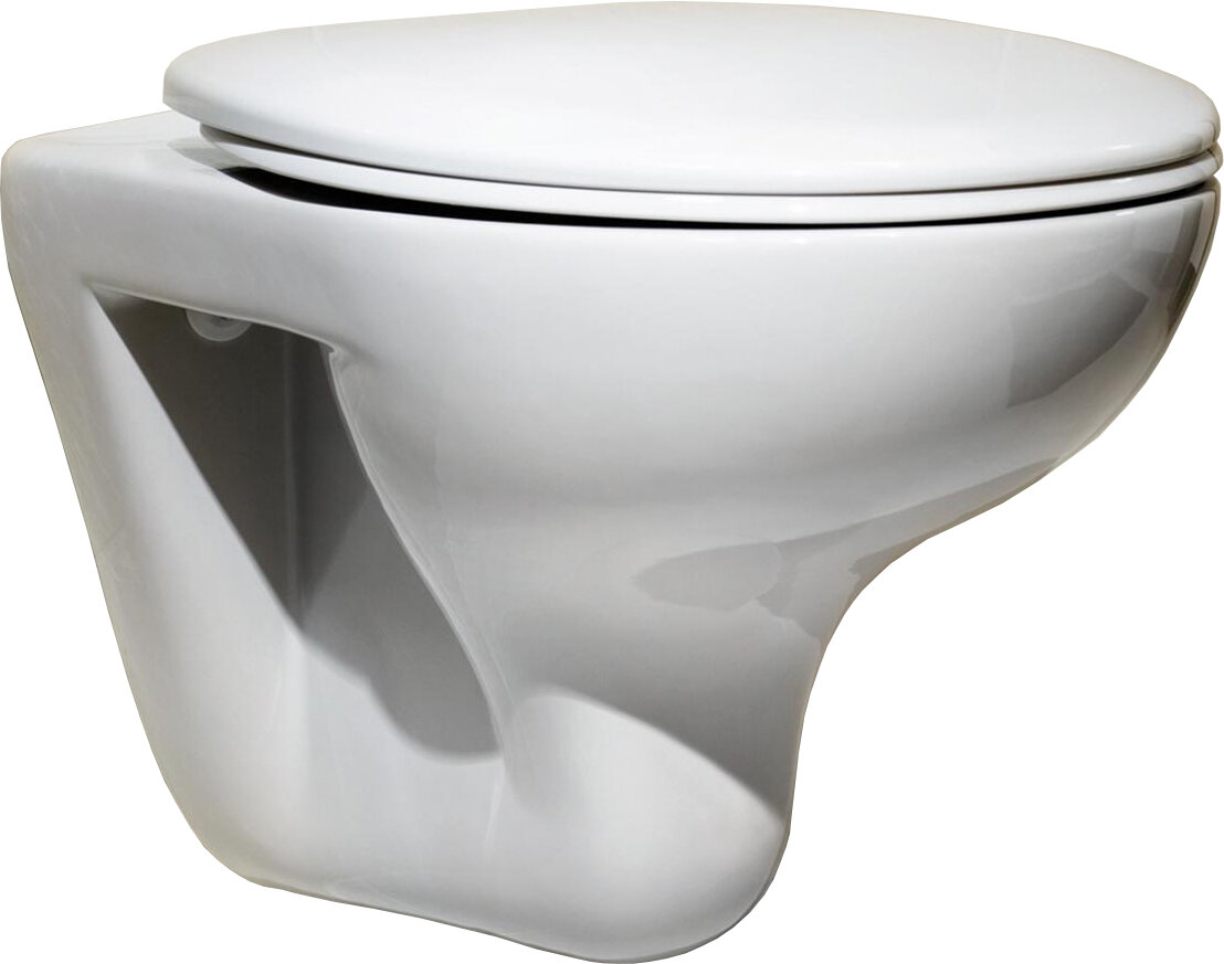 Изображение товара Подвесной унитаз Roca Mateo 346200000 бесободковый с горизонтальным выпуском