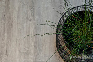 Изображение товара Виниловый ламинат VinilPol Glue Дуб Неаполь 7897 -EIR, планка 22.8 х 122 см, клеевой