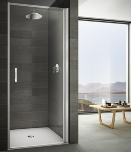 Изображение товара Душевая дверь Provex LOOK 0004LN 05 GL 90 см