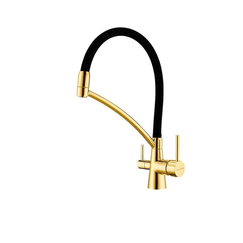Изображение товара Смеситель Paulmark Siegen Si213111-BG для кухни с фильтром, золото