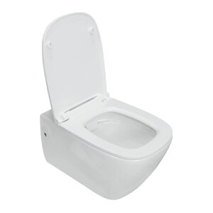 Изображение товара Унитаз подвесной Sanita Luxe Infinity WC.WH/Infinity/SlimDM.Rim/WHT.G/S1, безободковый, крышка микролифт, цвет белый