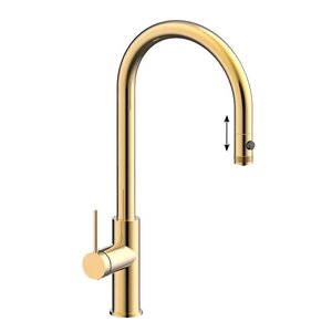 Изображение товара Смеситель для кухонной мойки Paulmark Galant Ga213077-SBG с подключением фильтра