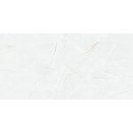 Керамогранит Goldis Tile Anil P8AA0LNAA0H1SO, 120 х 60 см, цвет Polished Rectified grade - фото 1