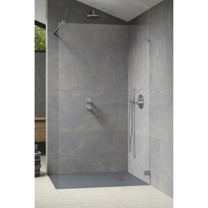 Изображение товара Душевая стенка Radaway Essenza Pro 10103120-91-01, 120 см, Walk-in, стекло прозрачное, профиль никель