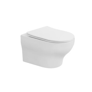 Изображение товара Унитаз подвесной Boheme Fiore 978-SET-MW, сиденье микролифт, цвет белый матовый