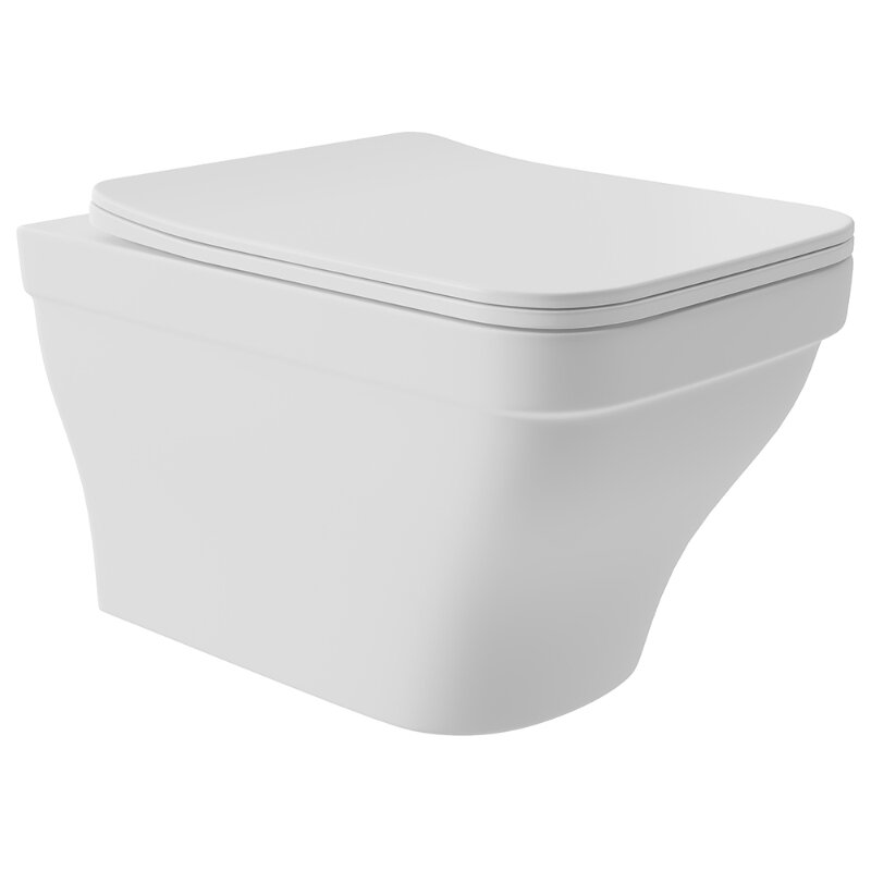 Изображение товара Подвесной безободковый унитаз Aqueduto Esteta EST0120 белый матовый