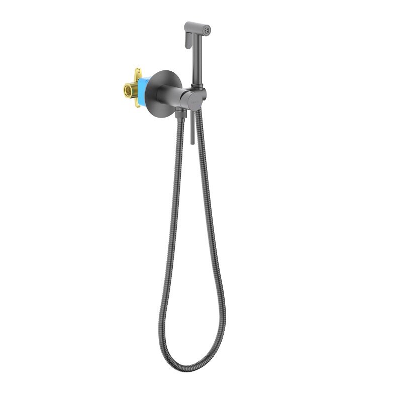 Изображение товара  Гигиенический душ Aquatek Европа, AQ1021BGM, для смесителя, оружейная сталь