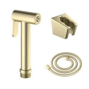 Изображение товара Гигиеническая лейка Aquatek AQ2054BG со шлангом и держателем золото шлифованное