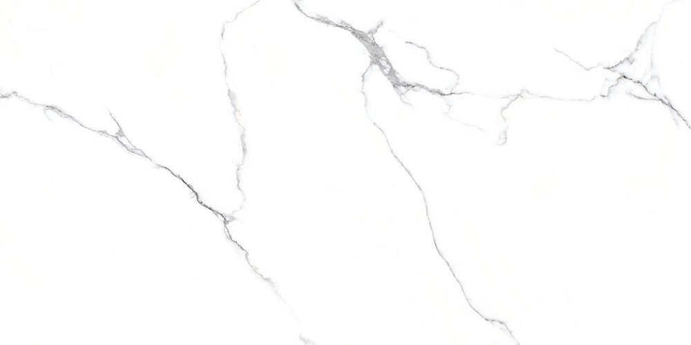 Изображение товара Керамогранит Azori Bianco Venatino R 60х120 см белый глянцевый под мрамор