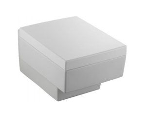 Изображение товара Подвесной унитаз Jacob Delafon Terrace EDA102-00/E70019-00 белый