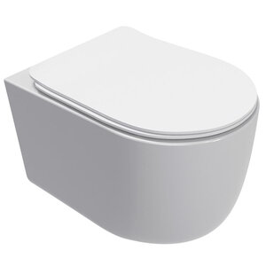 Изображение товара Унитаз подвесной Aquame AQM2012 безободковый с микролифтом