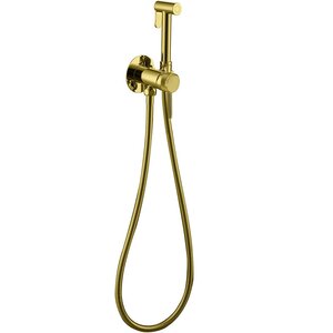 Изображение товара Гигиенический душ Allen Brau Priority, 5.31A29-GB, со смесителем, золото браш