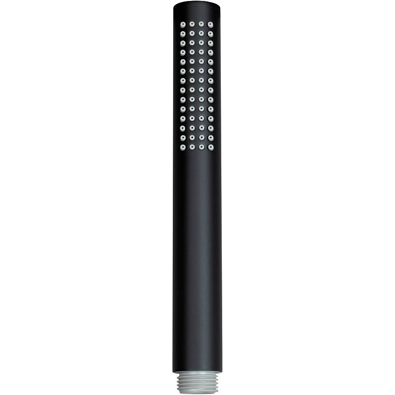 Изображение товара Душевая лейка Allen Brau Priority 5.31020-31, черный матовый