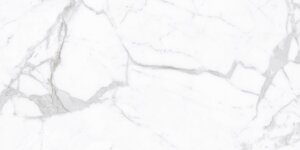 Изображение товара Керамогранит Staro Palacio Proven Polished 60x120 см серый белый для пола и стен