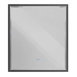 Изображение товара Зеркало интерьерное Cezares Interni CZR-SPC-INT-1000-900-LED-TCH-WARM-TIT, 100 см, с LED подсветкой и сенсорным выключателем, рама титан