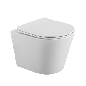 Изображение товара Подвесной безободковый унитаз BelBagno Flay-R BB053CHR/SC с сиденьем микролифт