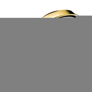 Изображение товара Душевая лейка Hansgrohe Raindance Classic 100 Air 3jet 28548090, хром/золото