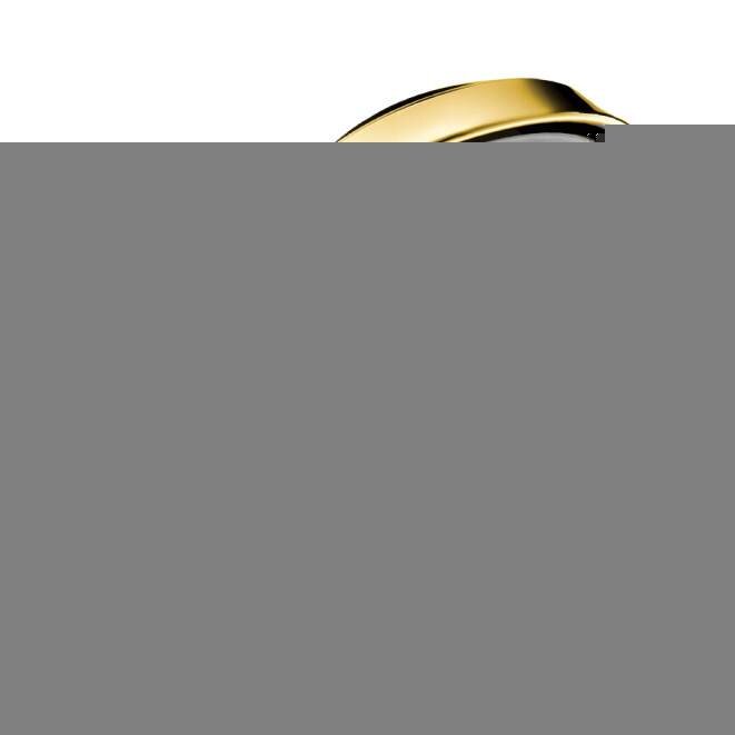 Изображение товара Душевая лейка Hansgrohe Raindance Classic 100 Air 3jet 28548090, хром/золото