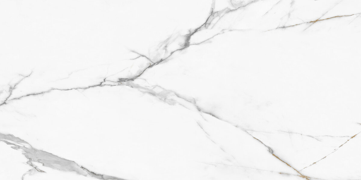 Изображение товара Керамогранит NewTrend Calacatta Regal 60x120 см полированный белый