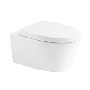 Изображение товара Подвесной унитаз безободковый Arrow AHB21002H, цвет белый