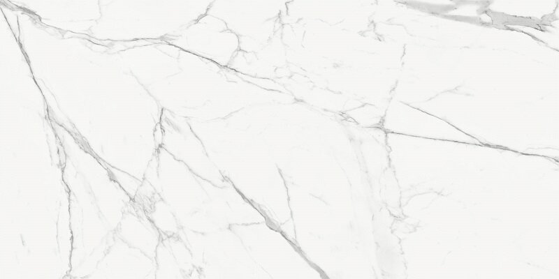 Изображение товара Керамогранит Delacora Porfido Carrara 60120PFC15 120x60 см белый мрамор