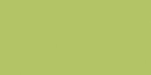 Изображение товара Керамогранит Estima Profi YourColor YC93 60x120 см light green