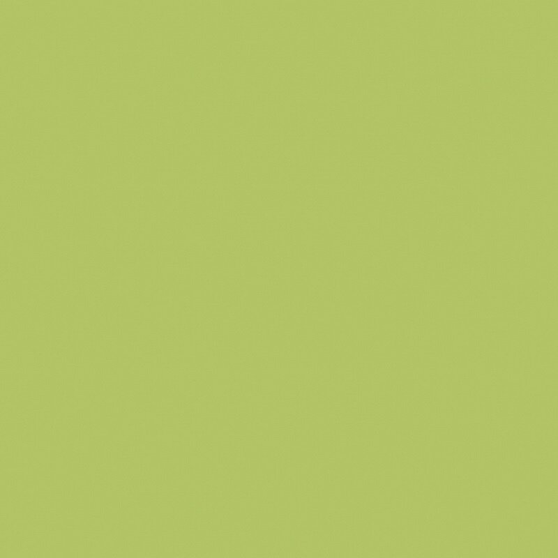Изображение товара Керамогранит Estima Profi YourColor YC93 60x60 см матовая зеленая Россия
