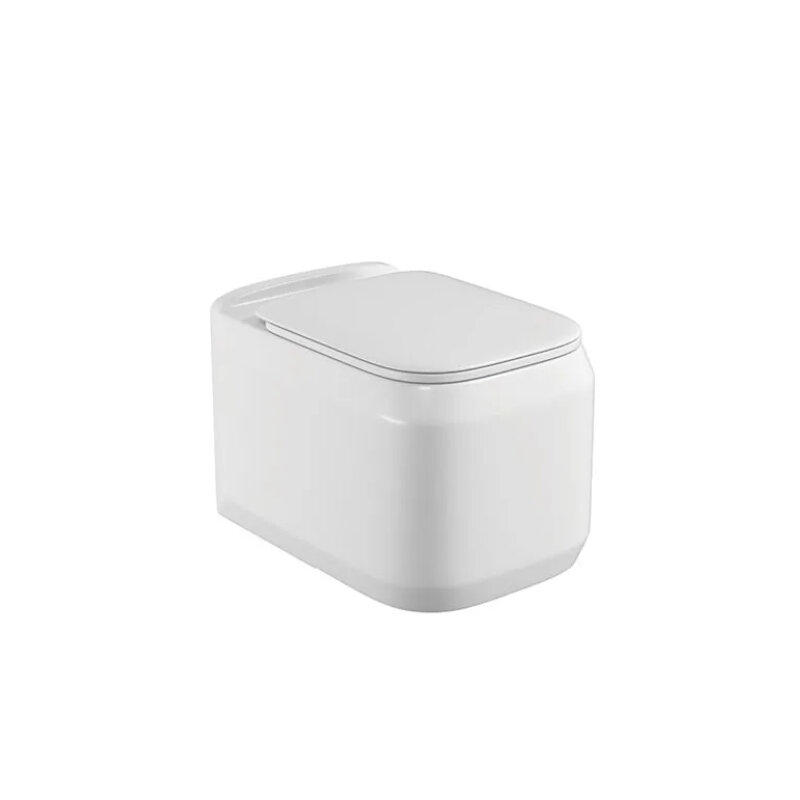 Изображение товара Подвесной унитаз La Fenice Cubo FNC-09-CUB-UP с микролифтом и безободковым дизайном