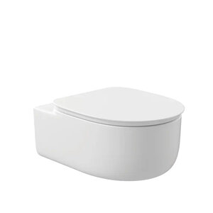 Изображение товара Подвесной унитаз La Fenice Terra FNC-09-TER-UP, безободковый, с микролифтом, Tornado, цвет белый