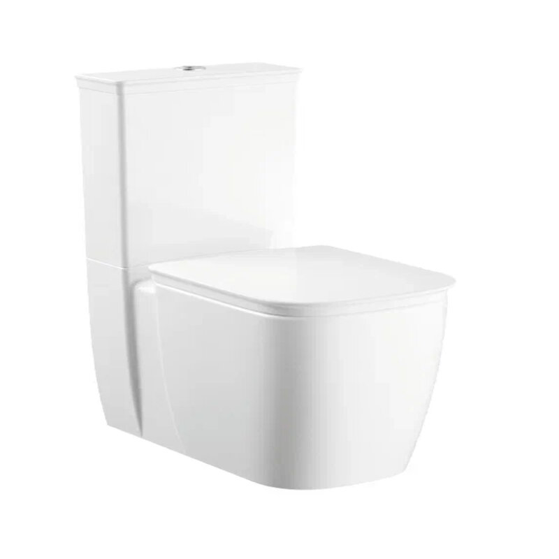 Изображение товара Напольный безободковый унитаз La Fenice Simpla FNC-09-SIM-UNB с микролифтом и системой Tornado