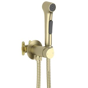 Изображение товара  Гигиенический душ Aquatek Европа, AQ1020BG, со смесителем, золото шлифованное