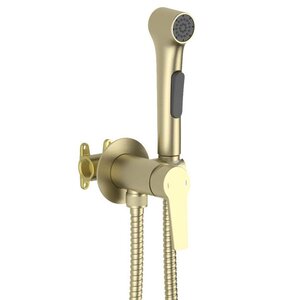 Изображение товара  Гигиенический душ Aquatek Лугано AQ1719BG, со смесителем, золото шлифованное