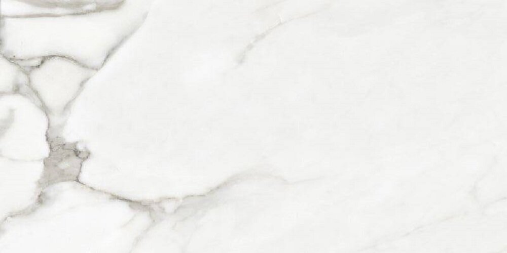 Изображение товара Керамогранит Argenta Venato Natural Polished 60x120 см полированный белый