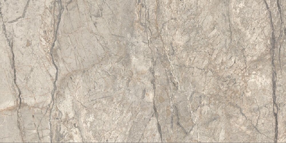 Изображение товара Керамогранит Caesar Anima Futura Amazing Silver Liscio Matt AIAV, 60 x 120 см, коричневый