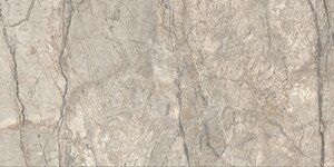 Изображение товара Керамогранит Caesar Anima Futura Amazing Silver Liscio Matt AIAV 60x120 см коричневый Италия