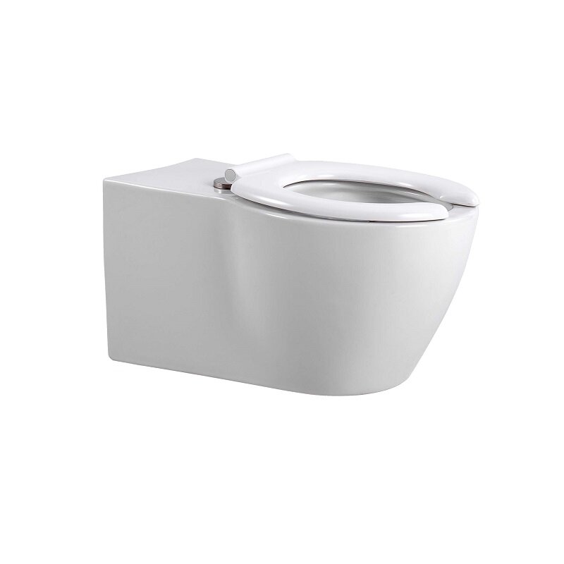 Изображение товара Подвесной унитаз Aquatek AQ2212-00 безободковый с системой Торнадо для инвалидов