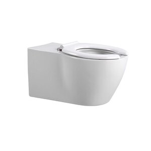 Изображение товара Подвесной унитаз Aquatek AQ2212-00, безободковый, смыв торнадо, для людей с ограниченными возможностями, с сиденьем, белый