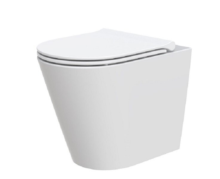 Изображение товара Приставной унитаз Arrow AHB2334H безободковый белый