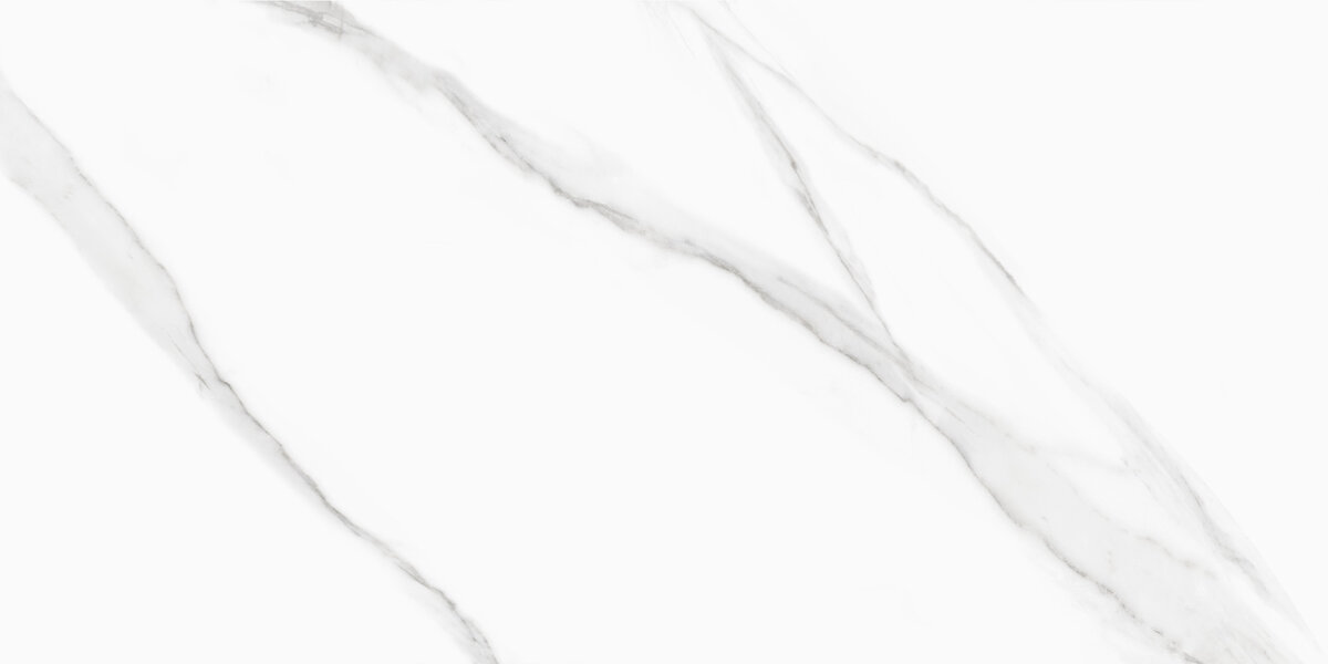 Изображение товара Керамогранит Delacora Life Calacatta D120239M 60x120 см белый для пола матовый