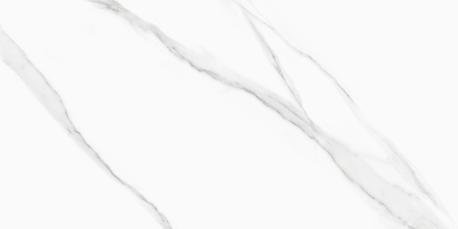 Изображение товара Керамогранит Delacora Life Calacatta D120239M 60x120 см белый для пола матовый