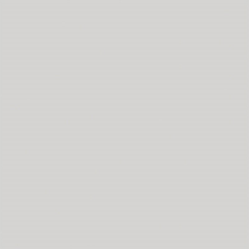 Изображение товара Керамогранит Alma Ceramica Spector GFU6060SPR07R светло-серый 60 x 60 см