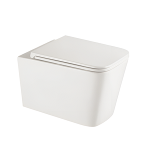 Изображение товара Унитаз подвесной Aquame AQM2015PRO безободковый белый