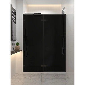 Изображение товара Душевая дверь Veconi Premium Alassio AL-120-11-BB-C4, 120 см, стекло тонированное черное, профиль черный матовый