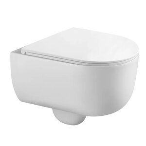 Изображение товара Унитаз подвесной Veconi Rino VRI-49T с безободковой чашей и микролифтом