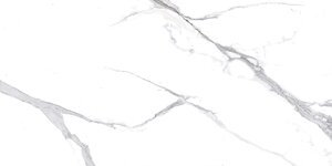 Изображение товара Керамогранит Ceradim Calacatta Splendid Silver х9999304479, 60х120 см, полированный белый