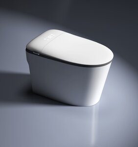 Изображение товара Умный унитаз RGW-SW-32 80420132-01, безободковый, смыв торнадо, сиденье микролифт, напольный, белый