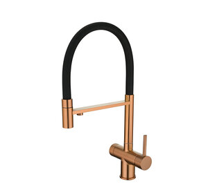 Изображение товара Смеситель для кухонной мойки Emar ЕС - 7024 PVD Golden с гибким изливом, с подключением к фильтру, цвет золото/черный